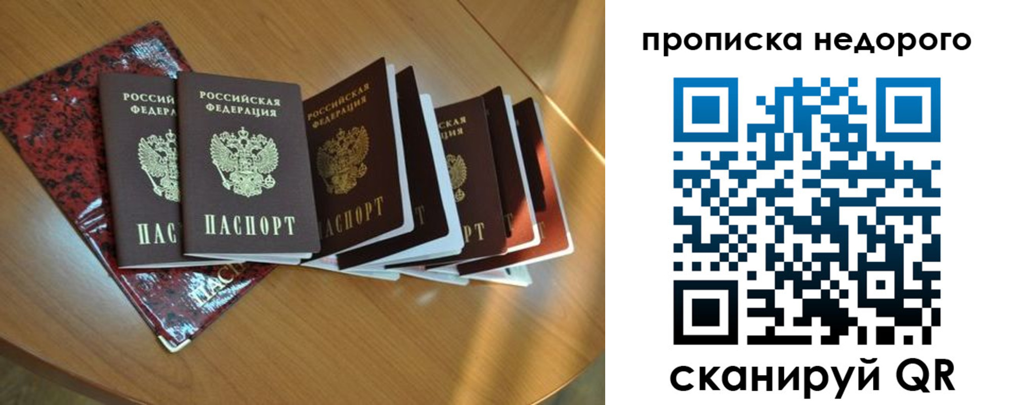 прописка штамп в Новозыбкове